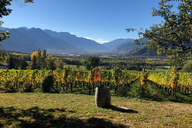 3 Hour Unique Wine Tour - Half Day in Swiss Alps - Maienfeld, vines, and a tasting you can actually use later