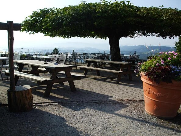 3 in 1: Zurich Walking Tour - Cruise on the Lake - Cable Car Ride to Felsenegg - Key highlights you should care about