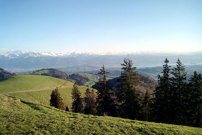 4-hour Quad Tour near Zurich - Quad tour highlights in Zurich Oberland