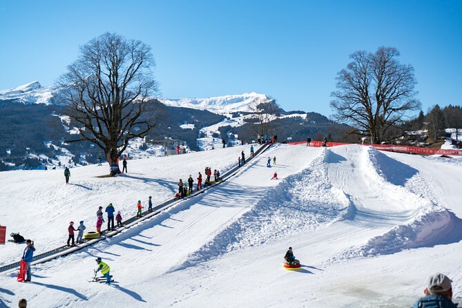 Afternoon Beginner Package Ski in Interlaken - Bodmi Arena’s Beginner Zone: Why the Magic Carpet Is a Smart Choice