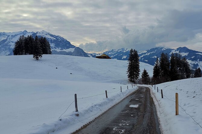 All Inclusive Rhine Falls and Appenzell Private Day Tour from Zurich - Canton of Appenzell Countryside: Mountains, Time for Raclette