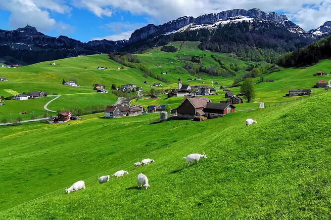 All Inclusive Rhine Falls and Appenzell Private Day Tour from Zurich - Who This Tour Fits Best (and Who Might Prefer a Different Plan)