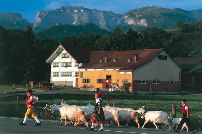 Appenzell Alps Day Trip from Zurich – Farm Life & Cheese Tasting - Leaving Zurich: Lake Views and the Scenic Setup for Appenzellerland