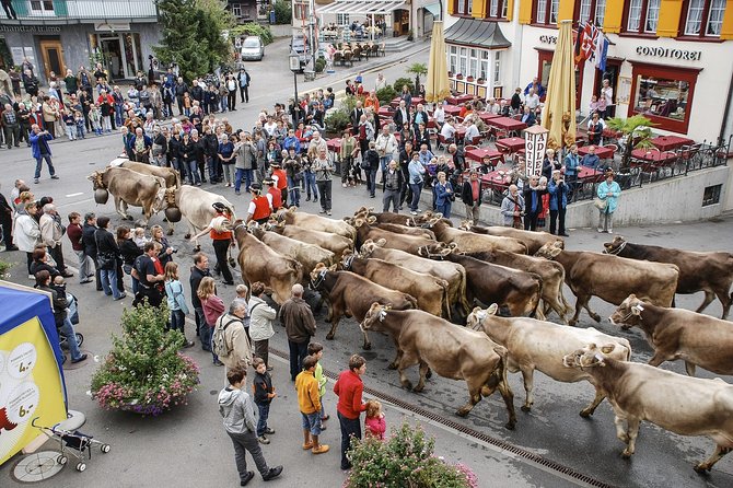 Appenzell and Liechtenstein Tour from Zurich - Entering Appenzell: centuries-old wooden house charm
