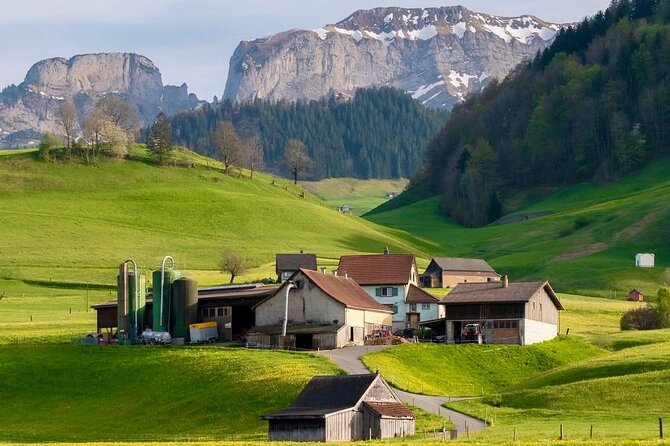 Appenzell Cow milking experience from Zurich with alpine scenery - Key highlights I’d prioritize