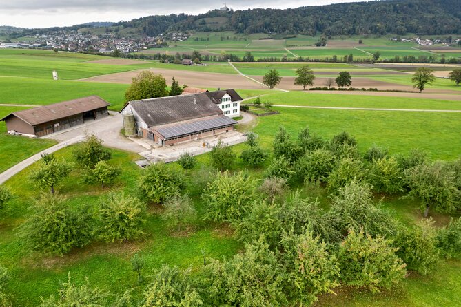 Appenzell Cow milking experience from Zurich with alpine scenery - Wangi family farm: milking and feeding, then fondue or raclette