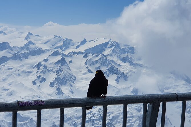 Attraction Ticket: Mt. Titlis by Train and Cableway from Lucerne - Timing and duration: why about four hours works well