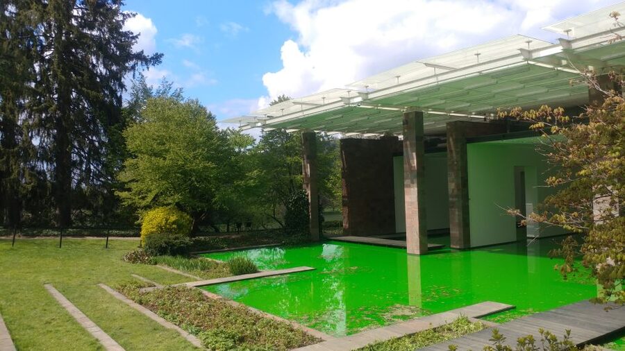 Basel: Private Walking Tour with a Local Guide - Merian Gardens: the quiet reset that feels like Basel