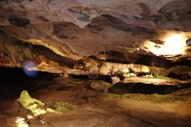 Beatus Caves, Panoramic Bridge, Nature Park Blue Lake and Lake Thun Cruise - The Scenic Lake Thun Cruise Back to Interlaken West