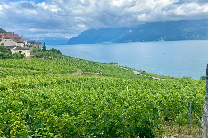 Bern Private Tour - Gruyères , Cheese, and Lavaux's UNESCO Wine - A smooth start from Bern, with the right kind of structure