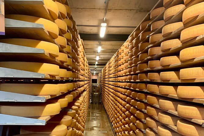 Bern Private Tour - Gruyères , Cheese, and Lavaux's UNESCO Wine - Epesses and the UNESCO vineyards: an easy climb with real wine time