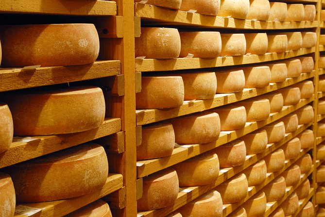 Berne the Capital and Cheese paradise Emmental (Private Tour) - How private attention changes the pace in a 9-hour day