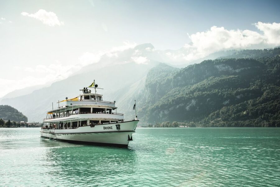 Berner Oberland: Swiss Half Fare & STS Holder 1st Class Pass - Lake Thun and Lake Brienz steamboats, not just scenic shoreline