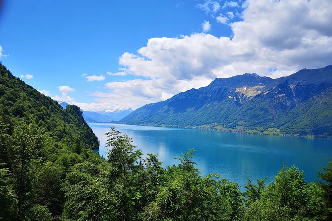 Best of Bernese Oberland from Basel - Key highlights you’ll actually care about