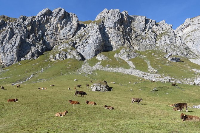 Best of the Uri Alps: A fjord-like lake, glorious peaks and sustainable tourism - Getting out of Lucerne, starting in Altdorf