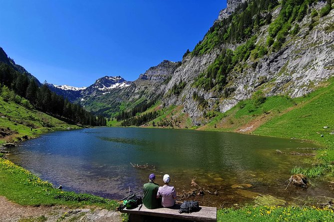 Breathtaking Private Hike with a Local Swiss Expert (1 day trip) - Lake Zurich stop: one hour with entry included and a calmer start