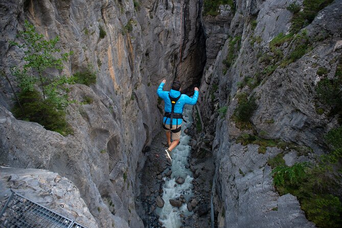 Canyon Swing with OUTDOOR - Price and Value: Is $185.05 Worth It?