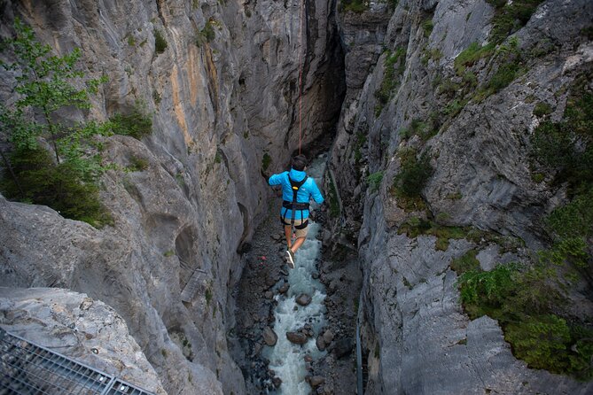 Canyon Swing with OUTDOOR - Who This Canyon Swing Fits Best (and Who Should Think Twice)