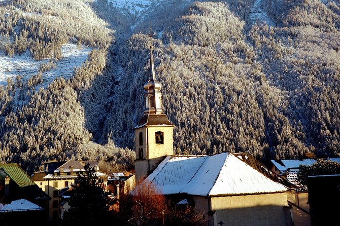Chamonix Day Trip and Geneva City Tour - Price and value: what you are paying for