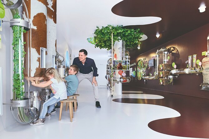 Chocolate factory Individual experience tour - Key highlights to know before you go