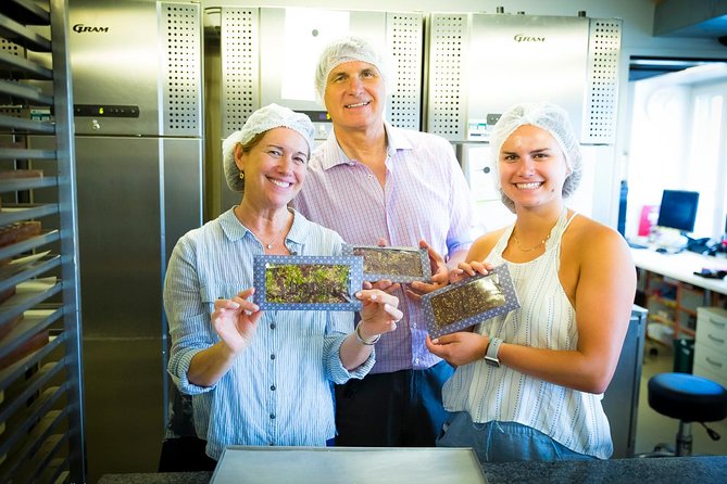 Chocolate Tasting with Lake Trip and City Tour: The Ultimate Lucerne Experience - How the guide style and small-group size change your day
