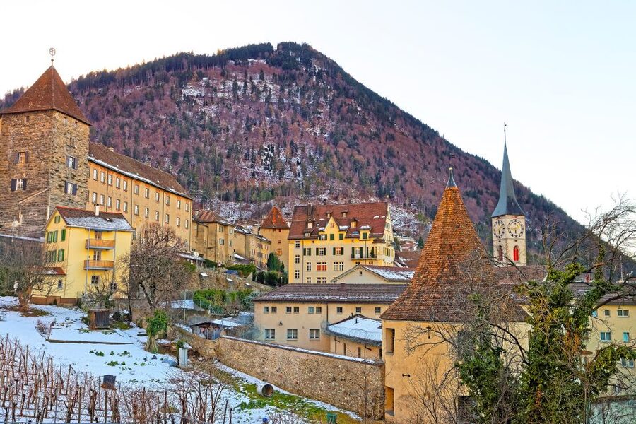 Chur: Private Express Walk with a Local in 90 minutes - Private group value and how the $134 price makes sense
