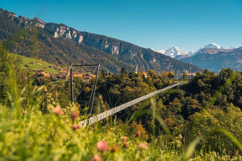 Crash Landing on You: Switzerland Filming Locations Day Tour - Comfort, pace, and the value of a private driver-guide
