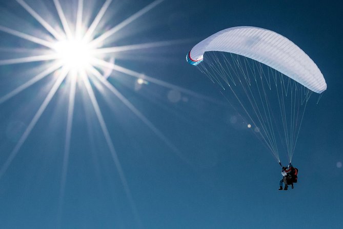 Davos Paragliding Private Tandem Pilot Half Day - Key highlights that shape the whole experience