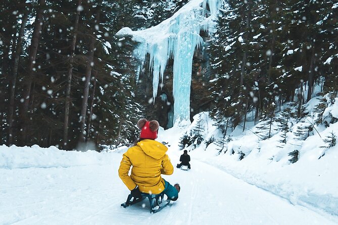 Day Sledding in Interlaken - Key highlights worth booking for