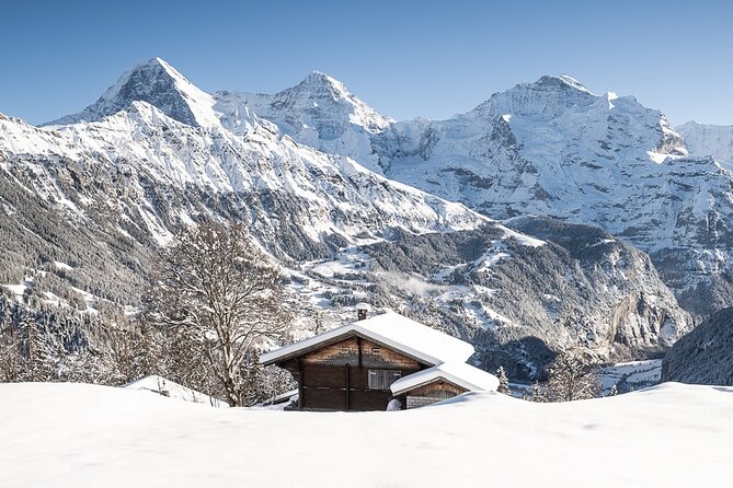 Day Sledding in Interlaken - Why the Eiger, Mönch, and Jungfrau view changes everything