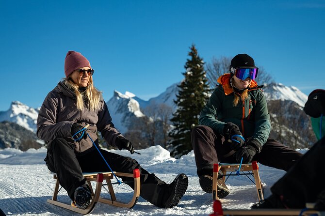 Day Sledding in Interlaken - Safety and pacing: what to expect during the day