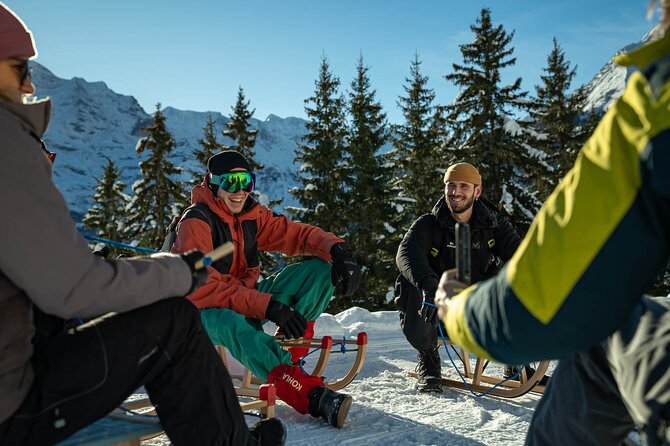 Day Sledding in Interlaken - Who this sledding day fits best