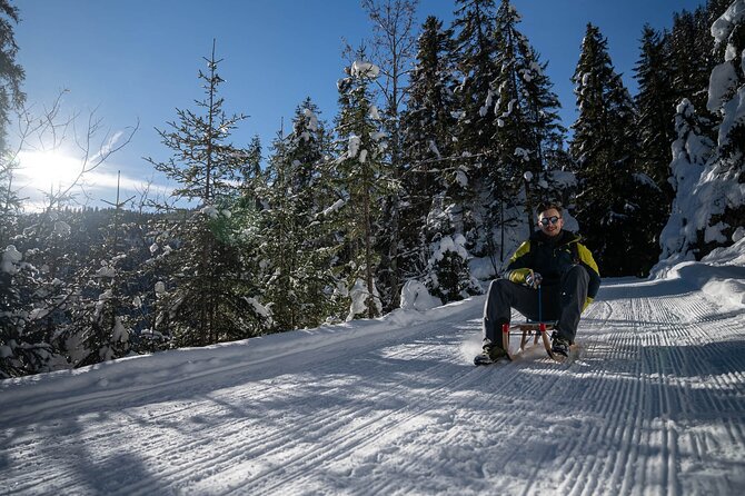 Day Sledding in Interlaken - Getting to the starting point near Wilderswil