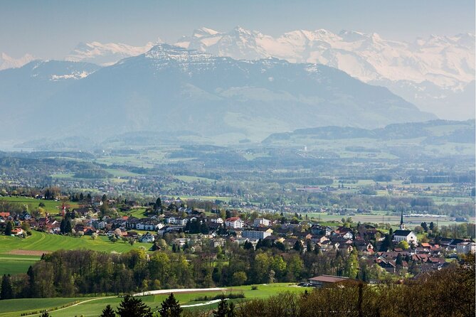 Day Trip to Lucerne and Mt. Rigi with a local from Zurich - Mt Rigi from Rigi Kaltbad to Rigi Kulm: cable car plus the cogwheel railway