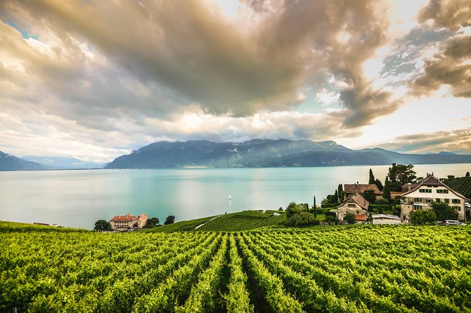 Day Trip to Montreux, Chaplin's World & Chillon Castle& apéritif - Chaplin’s World in Vevey: One Hour of Cinema That Feels Less Like a Museum