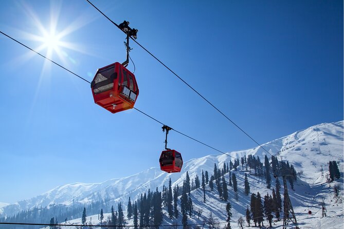 Daytrip to Jungfraujoch Top of Europe and Interlaken from Zurich - Guides and organization: what tends to make the difference