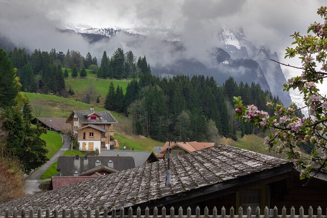 Daytrip to Swiss Villages: Interlaken Grindelwald & Lauterbrunnen - Lauterbrunnen and Trümmelbach Falls: the thunder you can hear