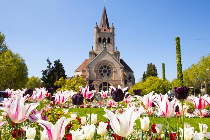 Discover Basel’s most Photogenic Spots with a Local - Price and what you actually get for $144.09