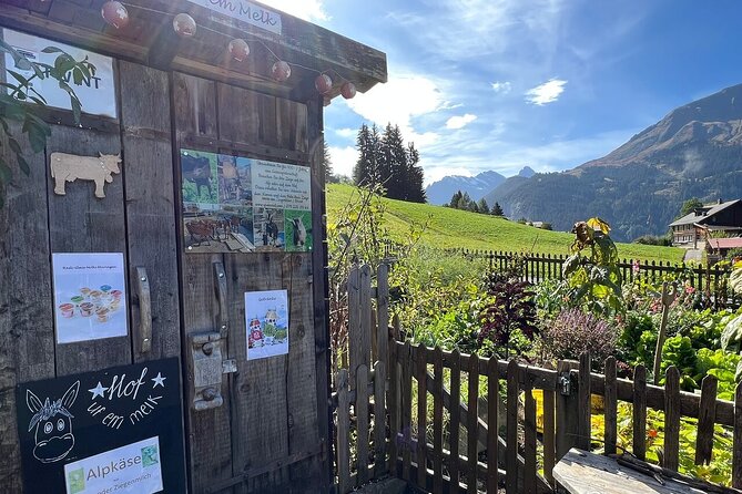 Easy countryside tour in Swiss Alps - kids friendly - The Walking Experience: Easy Village Roads With Real Alpine Details