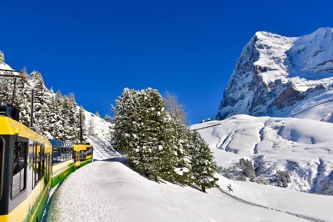 Eiger and Jungfrau Glacier Panorama Tour from Zurich - Kleine Scheidegg: Eiger North Face Up Close, Plus Real Free Time