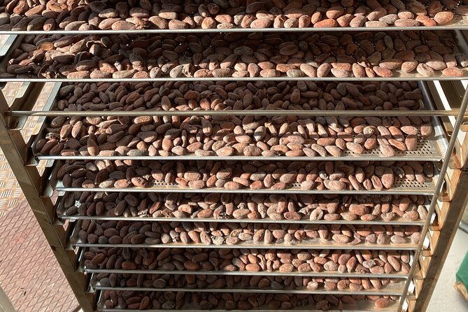 Ethical Chocolate Tour - Vegan Chocolate on the Route, Without Making It a Separate Experience