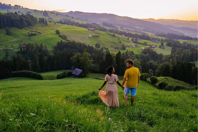 Experience Swiss Countryside on a Private Tour by Car from Zurich - Key highlights in plain terms