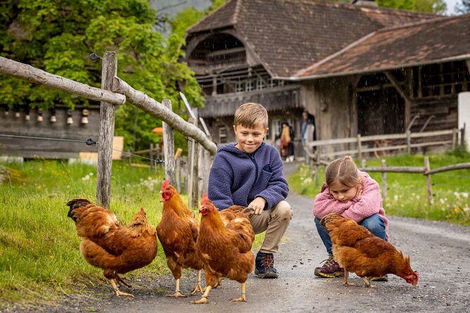 Experience Switzerland in the Ballenberg open-air museum - The bottom line: should you book Ballenberg?