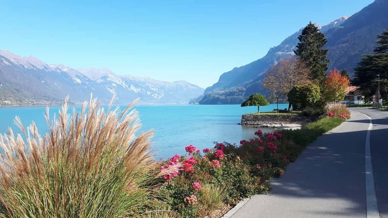 Explore Swiss Villages: Interlaken-Grindelwald(Private Tour) - Hohematte Park and the viewpoint logic