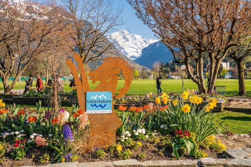 Explore Swiss Villages: Interlaken-Grindelwald(Private Tour) - Price and value: is $284 per person actually fair?
