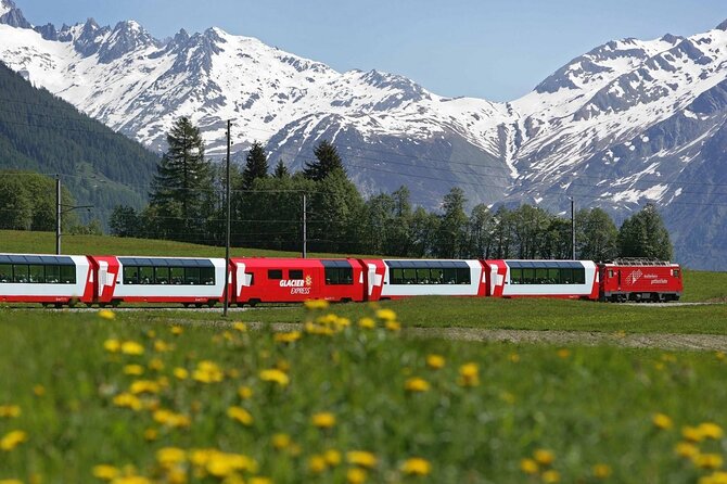 From Basel: Glacier Express, Swiss Alps Bern City in Private Trip - Who this private Alps day fits best