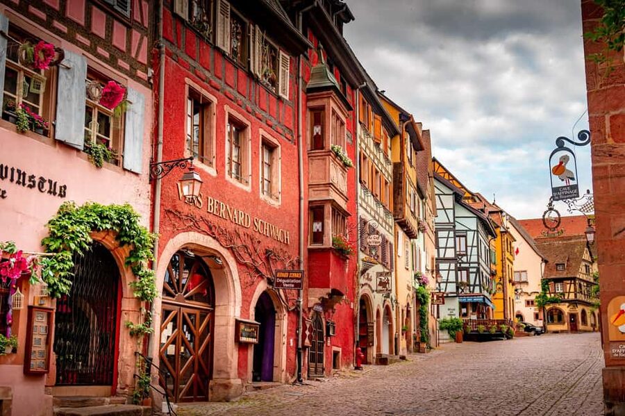 From Colmar: Alsace wine route tour Half Day - What kind of traveler should book this?