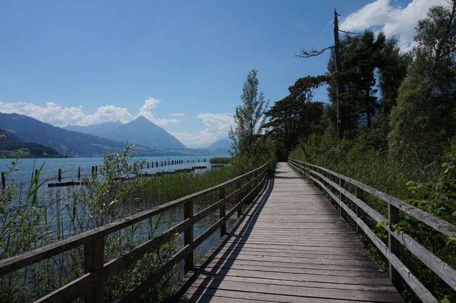 From Geneva: Full-Day Trip to Interlaken - How This Trip Works: A 13-Hour Alpine Day, Not a Tight City Tour