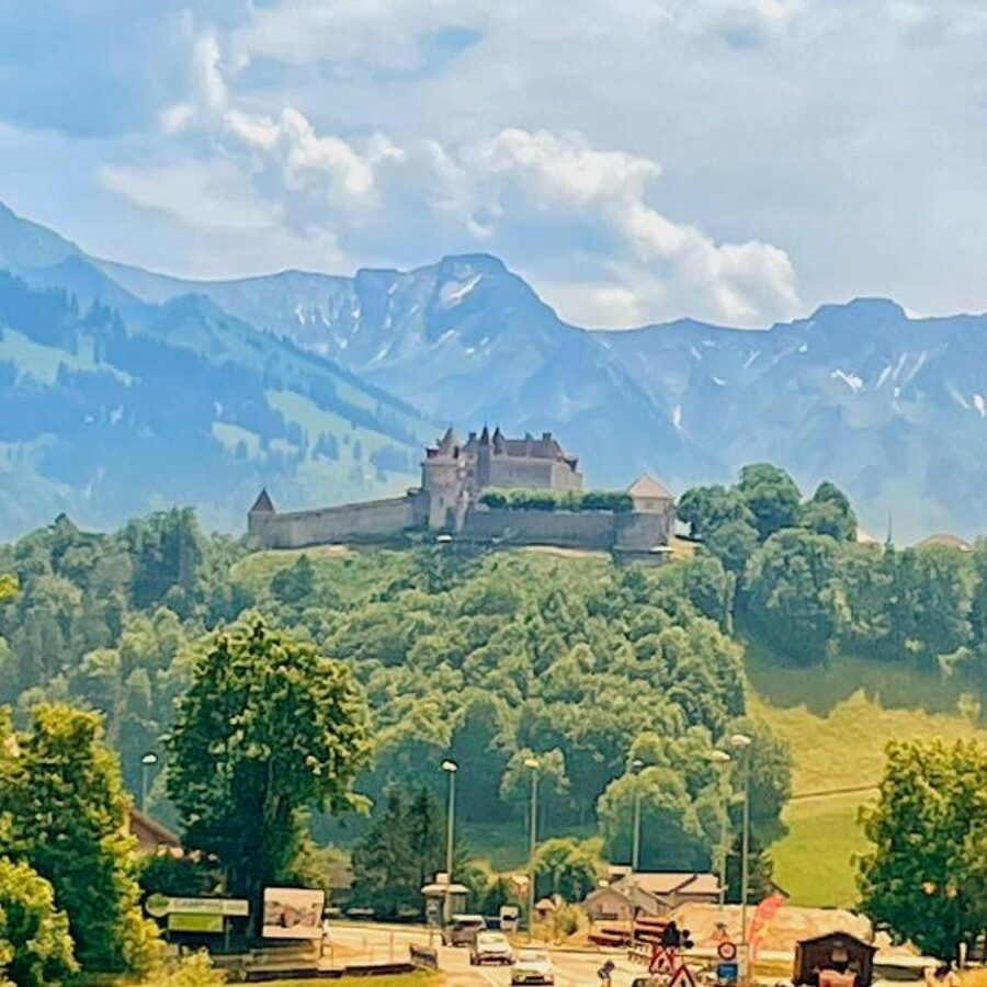 From Geneva: Gruyeres Castle, Cheese, Chocolate & Montreux - Tips so your day stays fun instead of exhausting
