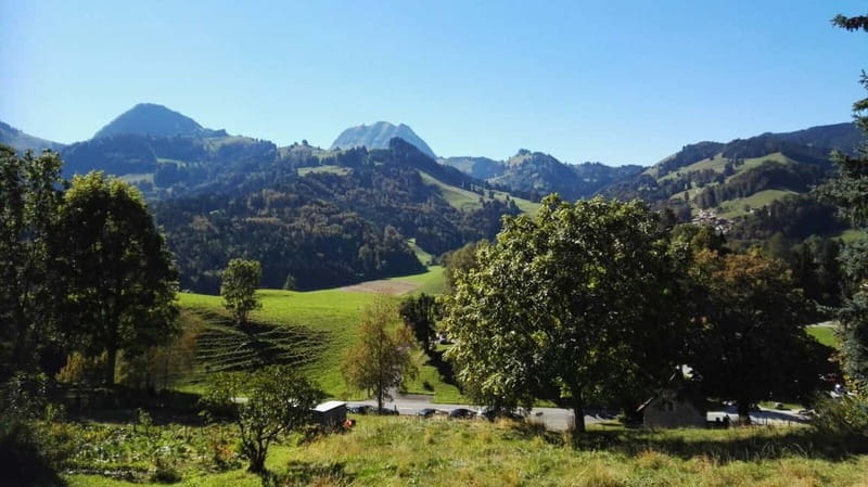 From Geneva: Gruyères Tour with Cheese & Chocolate Factories - Should you book this Gruyères chocolate and cheese day trip?